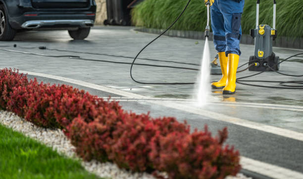 Best Patio and Deck Pressure Washing  in Virginia Gardens, FL
